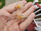 Prime Spawning Mantis Shrimp
