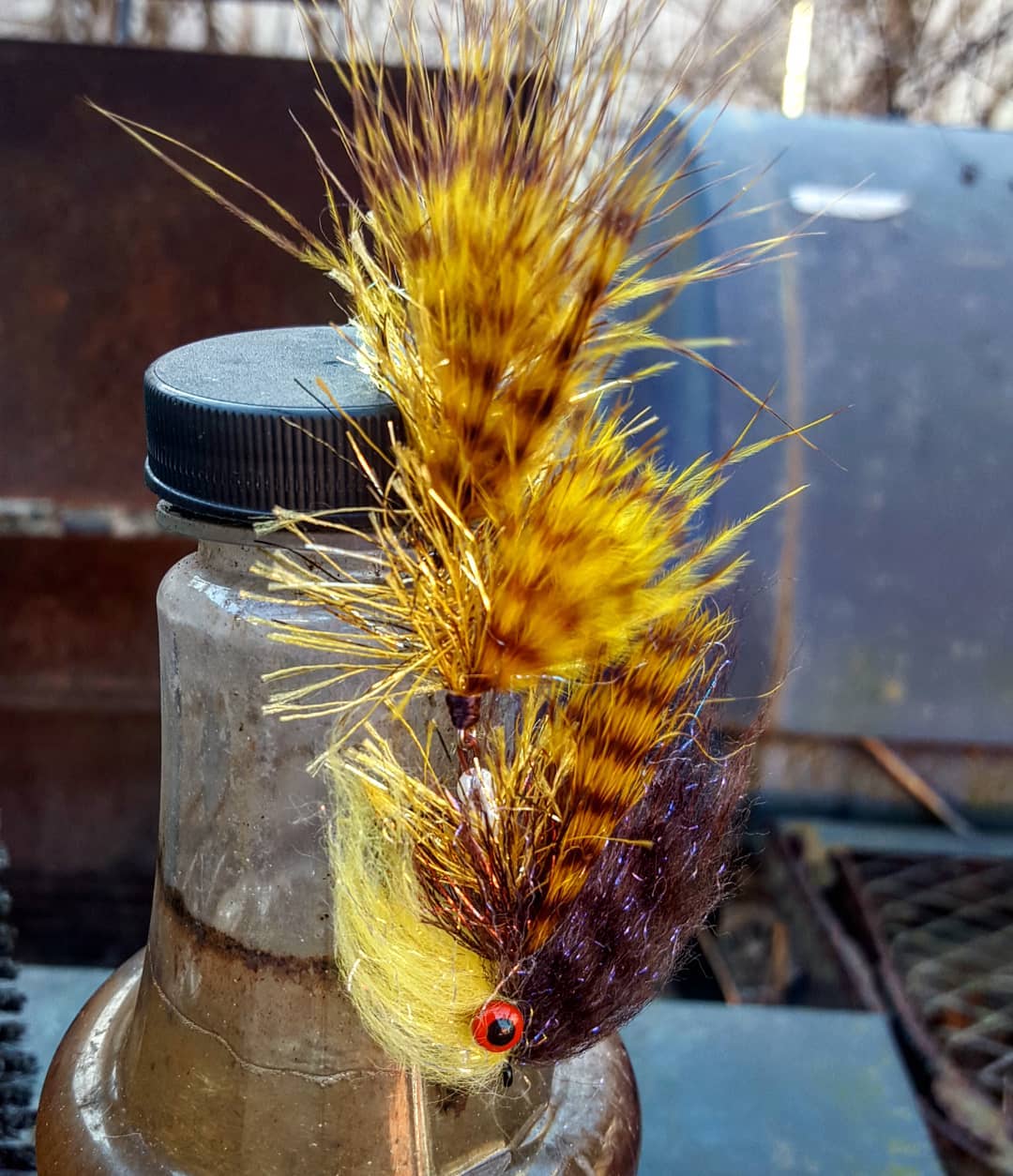 Prime Fly Trap House Minnow Browntown